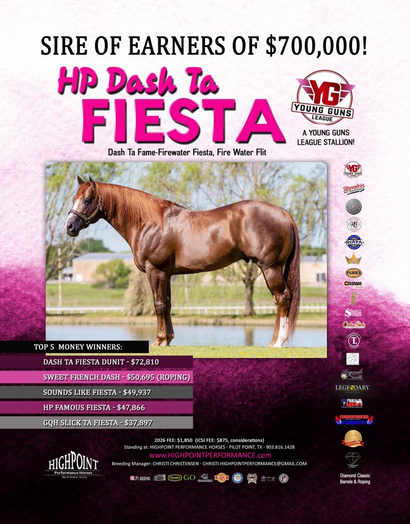 HP DASH TA FIESTA