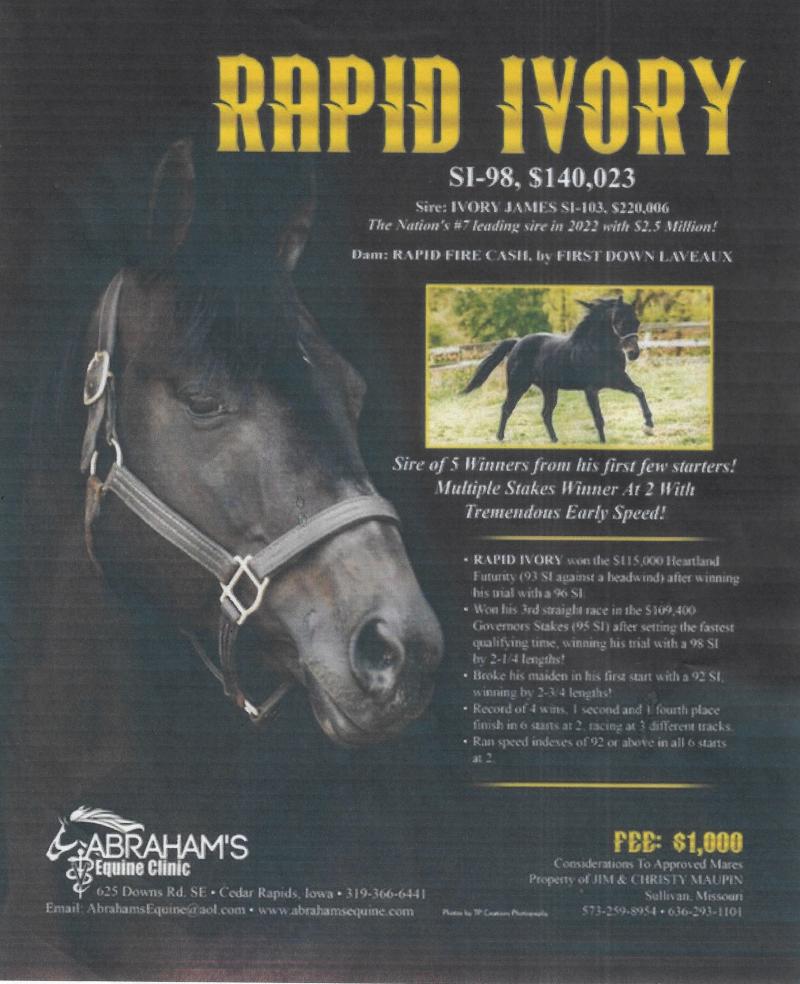 RAPID IVORY