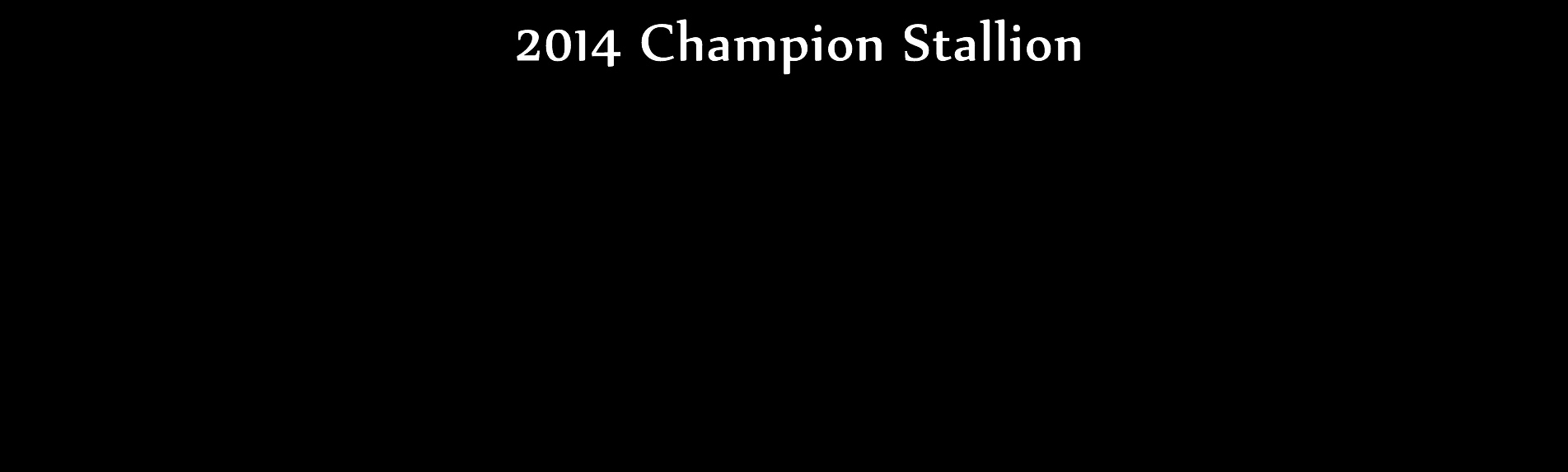 Triple Crown Champion Stallion